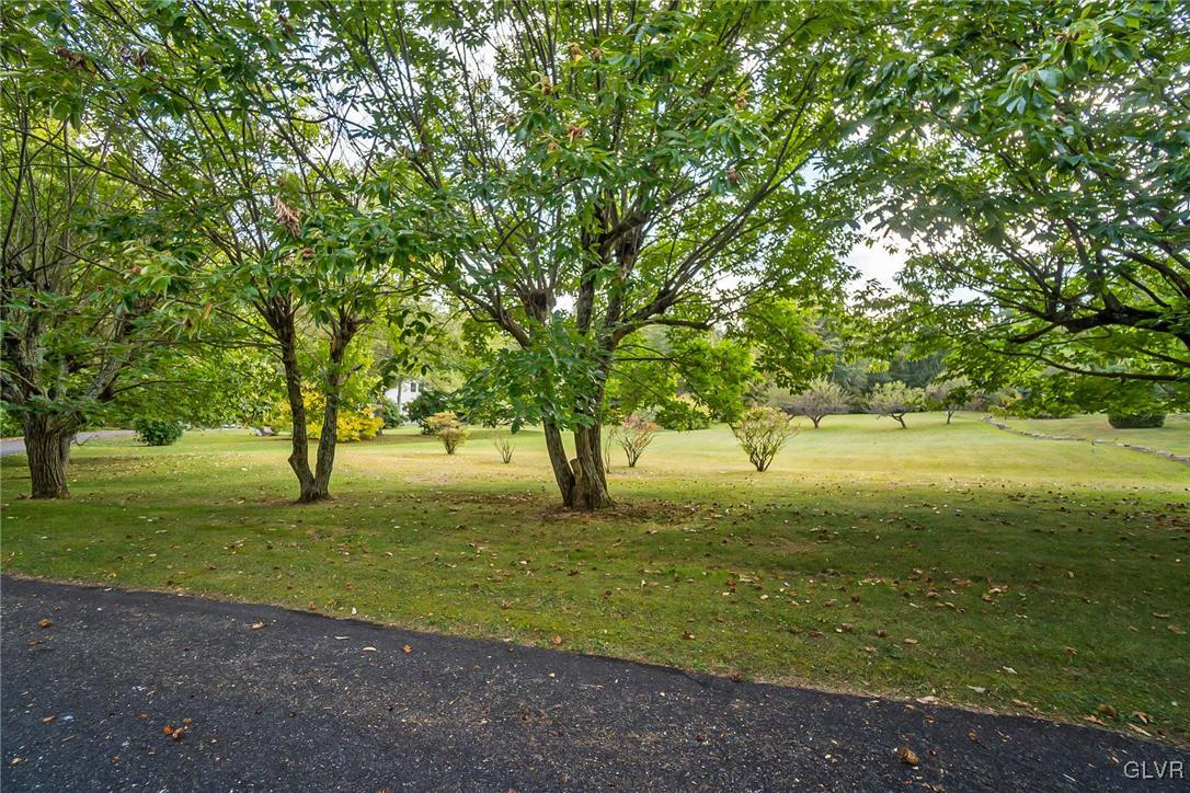 115 Pine Cove Court Lehighton, PA 18235 - Photo 11 of 49 a big yard with trees
