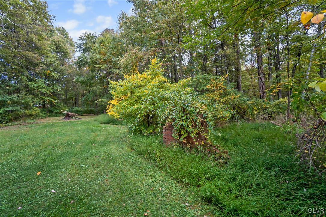 115 Pine Cove Court Lehighton, PA 18235 - Photo 15 of 49 a view of a yard with a tree