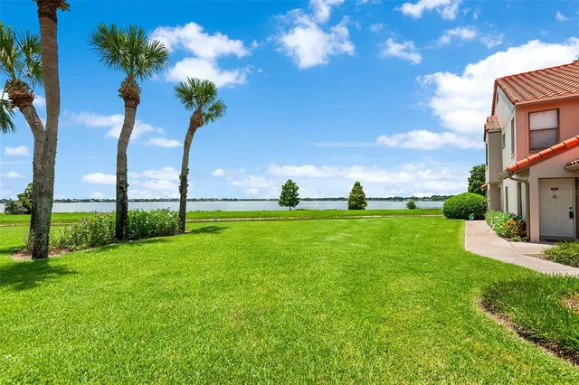 a view of three trees and garden