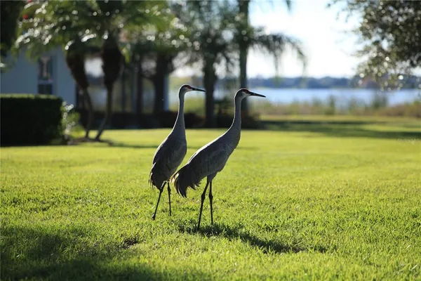 $230,000 | 714 Magnolia Place, Unit 714, Winter Haven, FL 33884