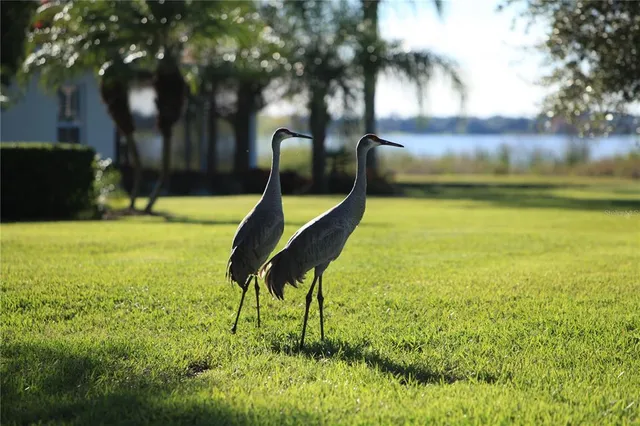 a view of an outdoor space and swimming pool