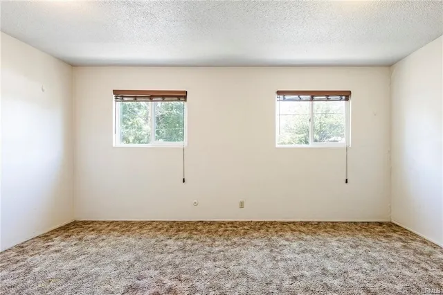 a view of a big room with closet and wooden floor