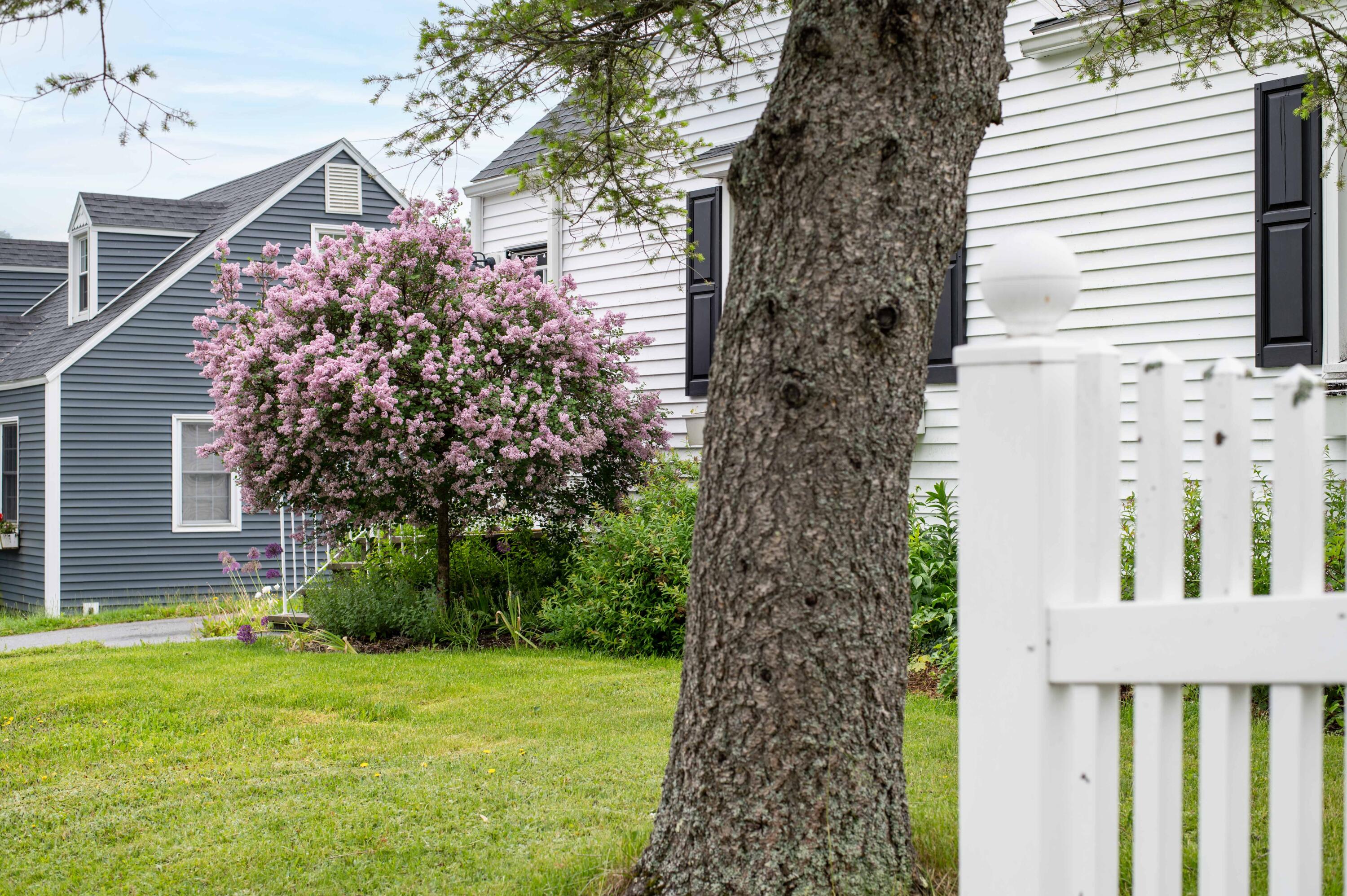 47 Crestmont Road Bangor, ME 04401 - Photo 25 of 29 Crestmont-25