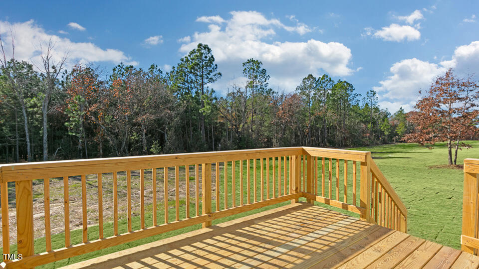 91 Calebs Cor Place Spring Lake, NC 28390 - Photo 9 of 40 mason-ridge-lot-47-028