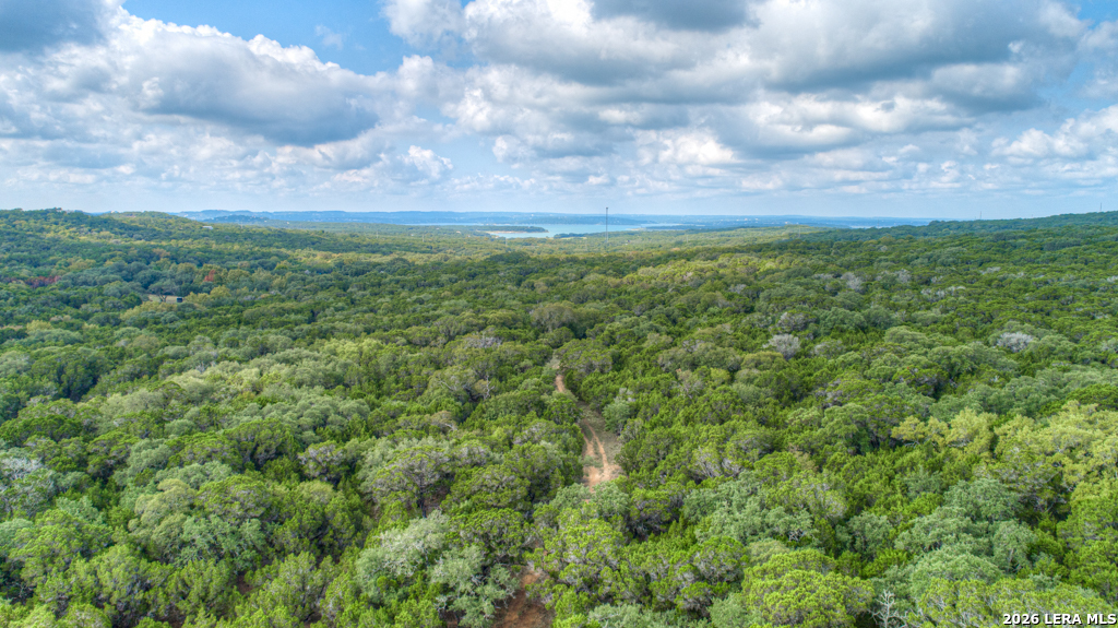 9 Shellyholm Ranch Road Fischer, TX 78623 - Photo 8 of 10