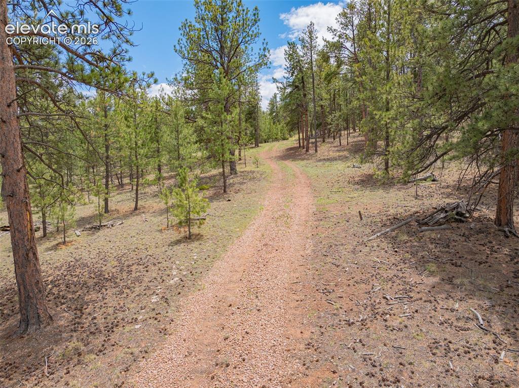 4250 Doe Valley Road Guffey, CO 80820 - Photo 21 of 35