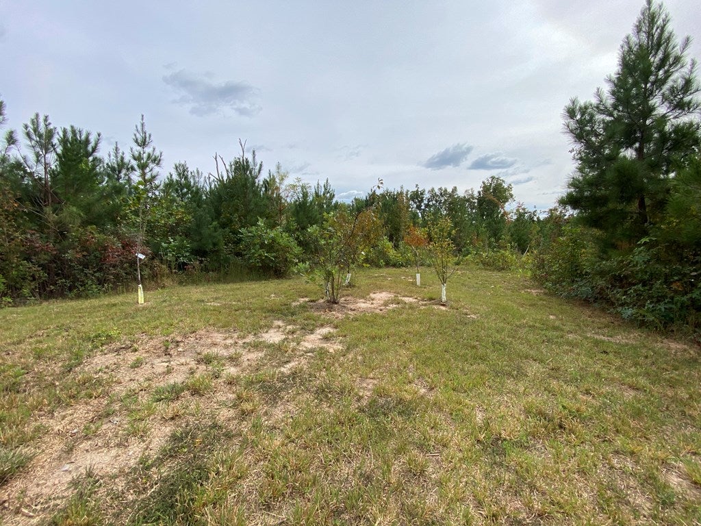 49 The Falls Road, Unit 42 Crewe, VA 23930 - Photo 27 of 30 Gallery Image 27