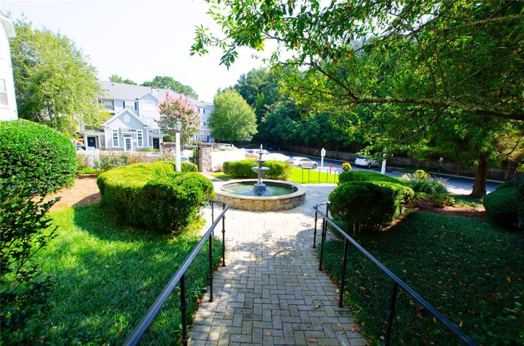 a view of a swimming pool with a garden and plants