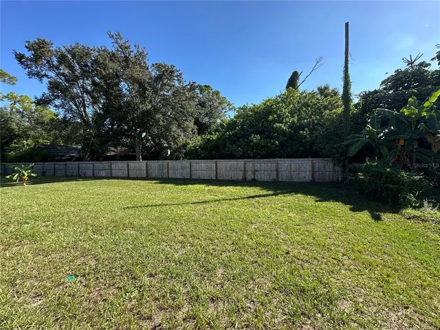 a view of a yard with a large tree