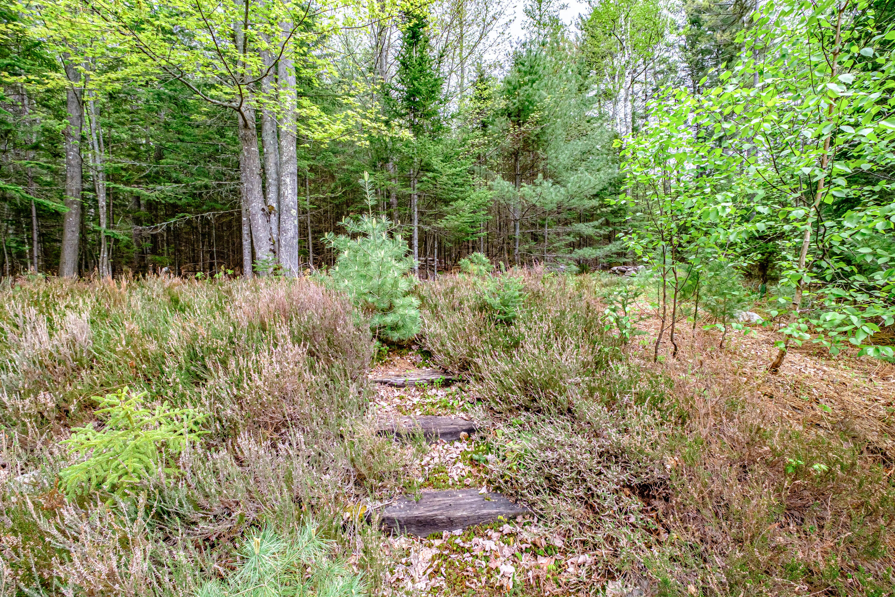 180 Chestnut Knoll Road Bethel, ME 04217 - Photo 64 of 73 20220517gp-62064