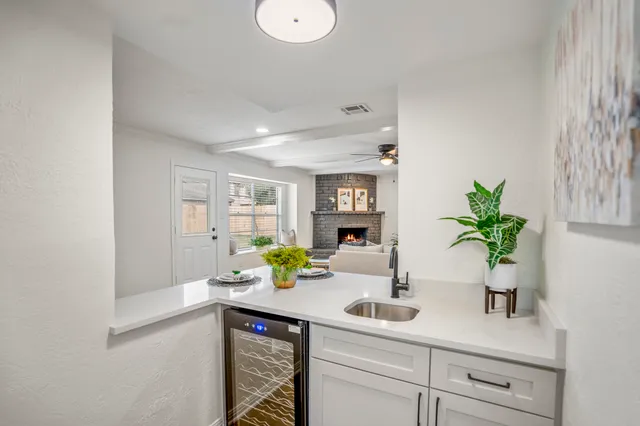 a sink with a potted plant