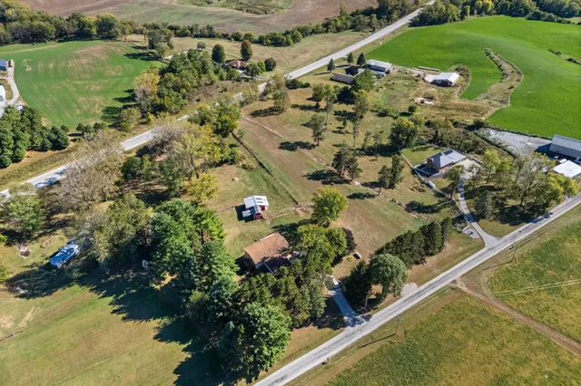 a view of a park with large trees