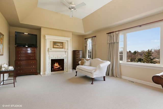 6040 South Grant Street Burr Ridge, IL 60527 - Photo 13 of 25 a living room with furniture and a fireplace