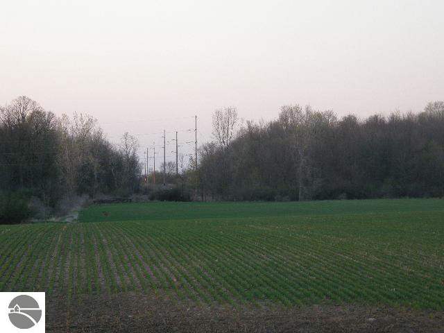1426 West Van Buren Road Alma, MI 48801 - Photo 23 of 24 1744962-22.JPG