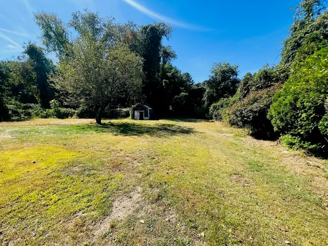 a view of a swimming pool with an outdoor space
