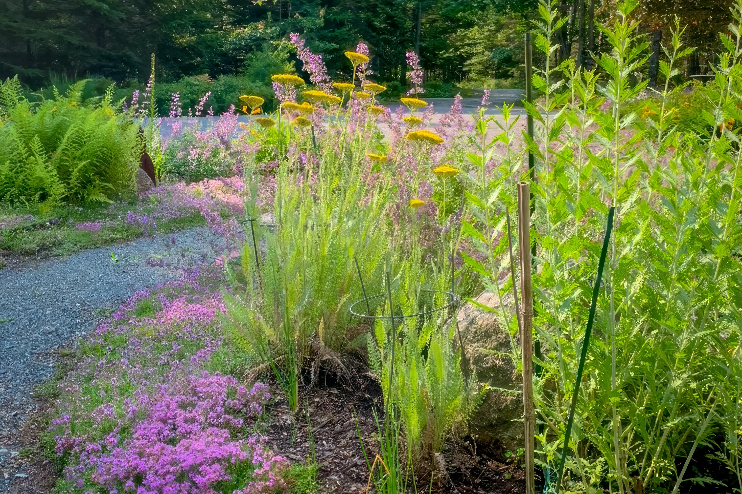 40 Ridgeway Drive Bar Harbor, ME 04609 - Photo 7 of 43 32-40 Ridgeway Drive-DTP