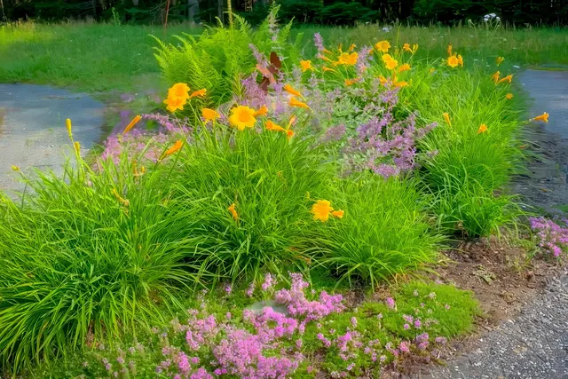 $720,000 | 40 Ridgeway Drive, Bar Harbor, ME 04609