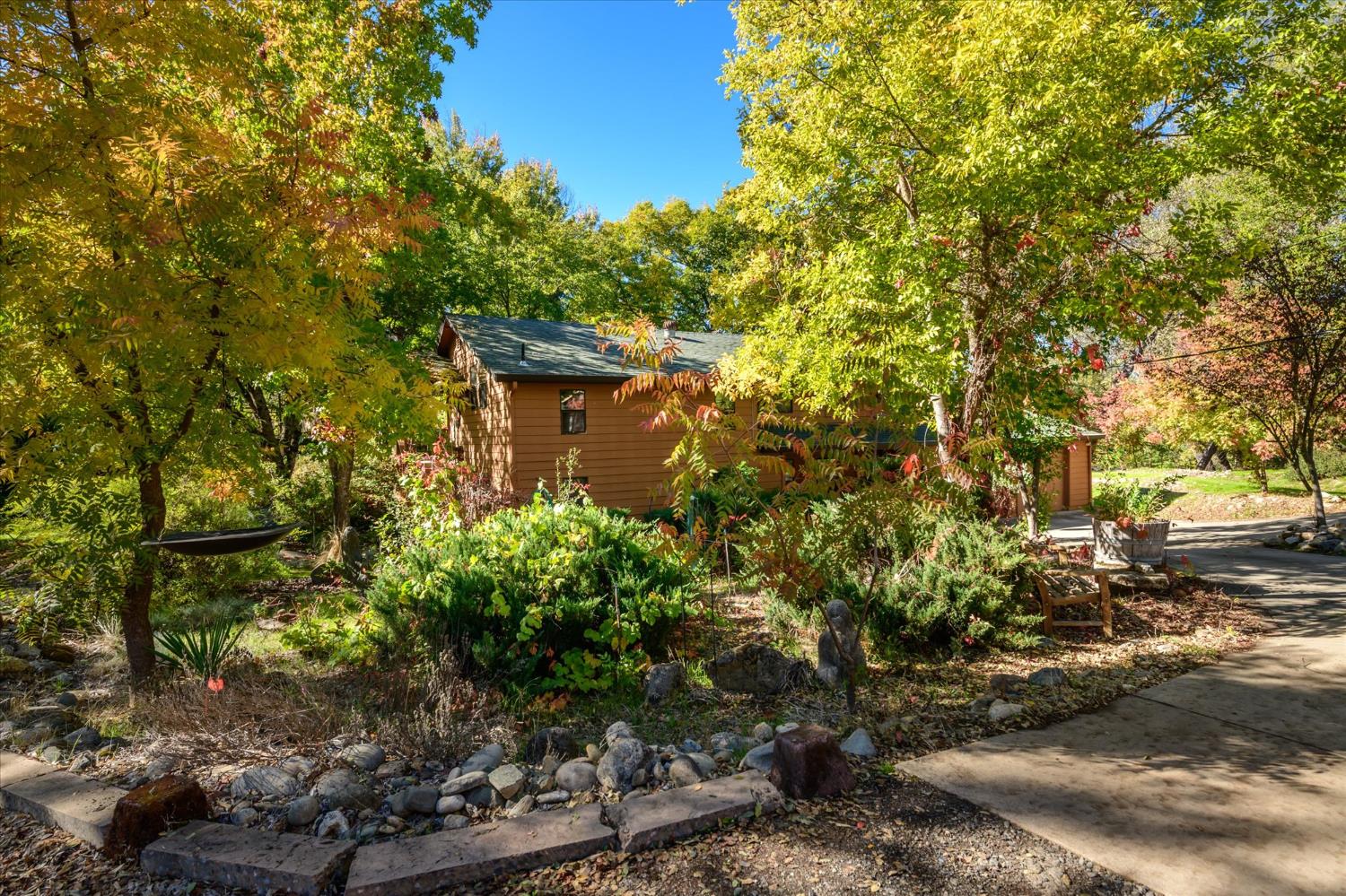a view of a garden with plants