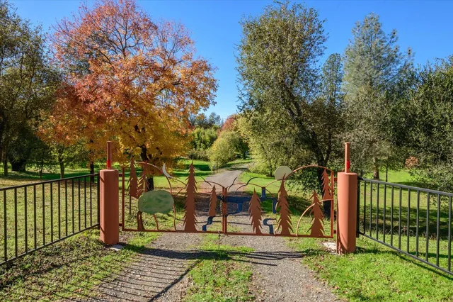 a view of a park with iron fence