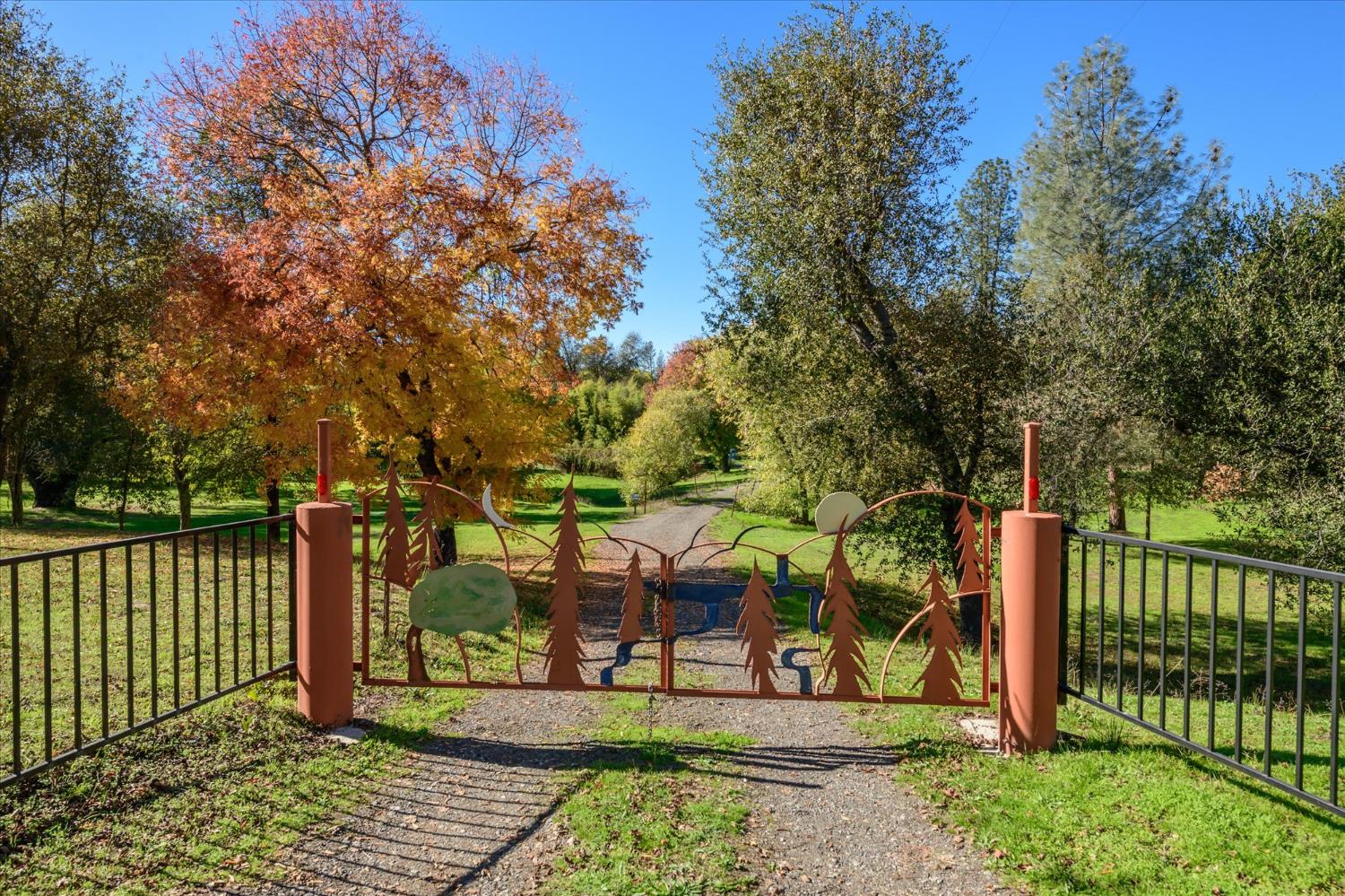 a view of a park with iron fence