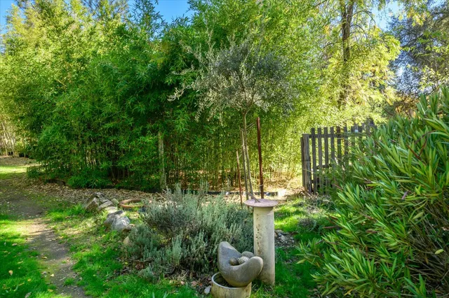 a view of a backyard with large tree and wooden fence