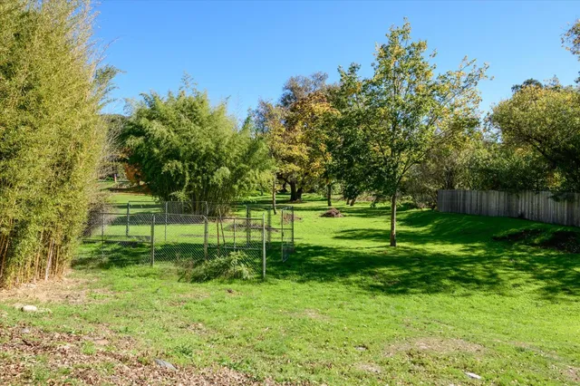 a view of lake background with trees