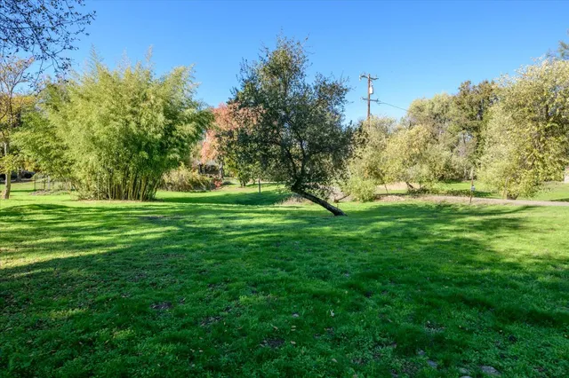 a view of yard with swimming pool and trees