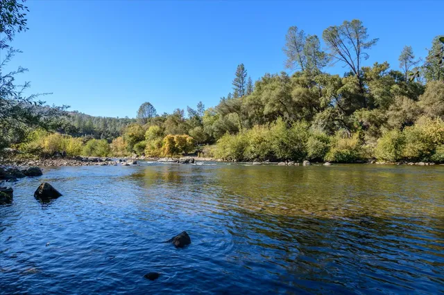 a view of a garden with plants