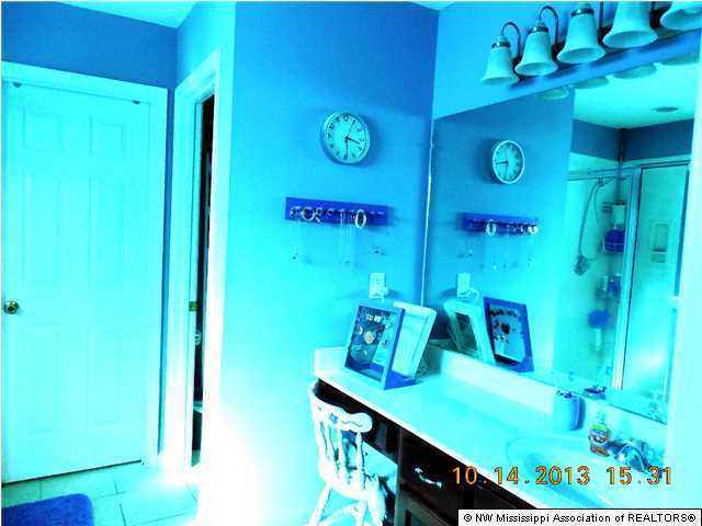 24 Swan Road Coldwater, MS 38618 - Photo 14 of 22 Additional Photo