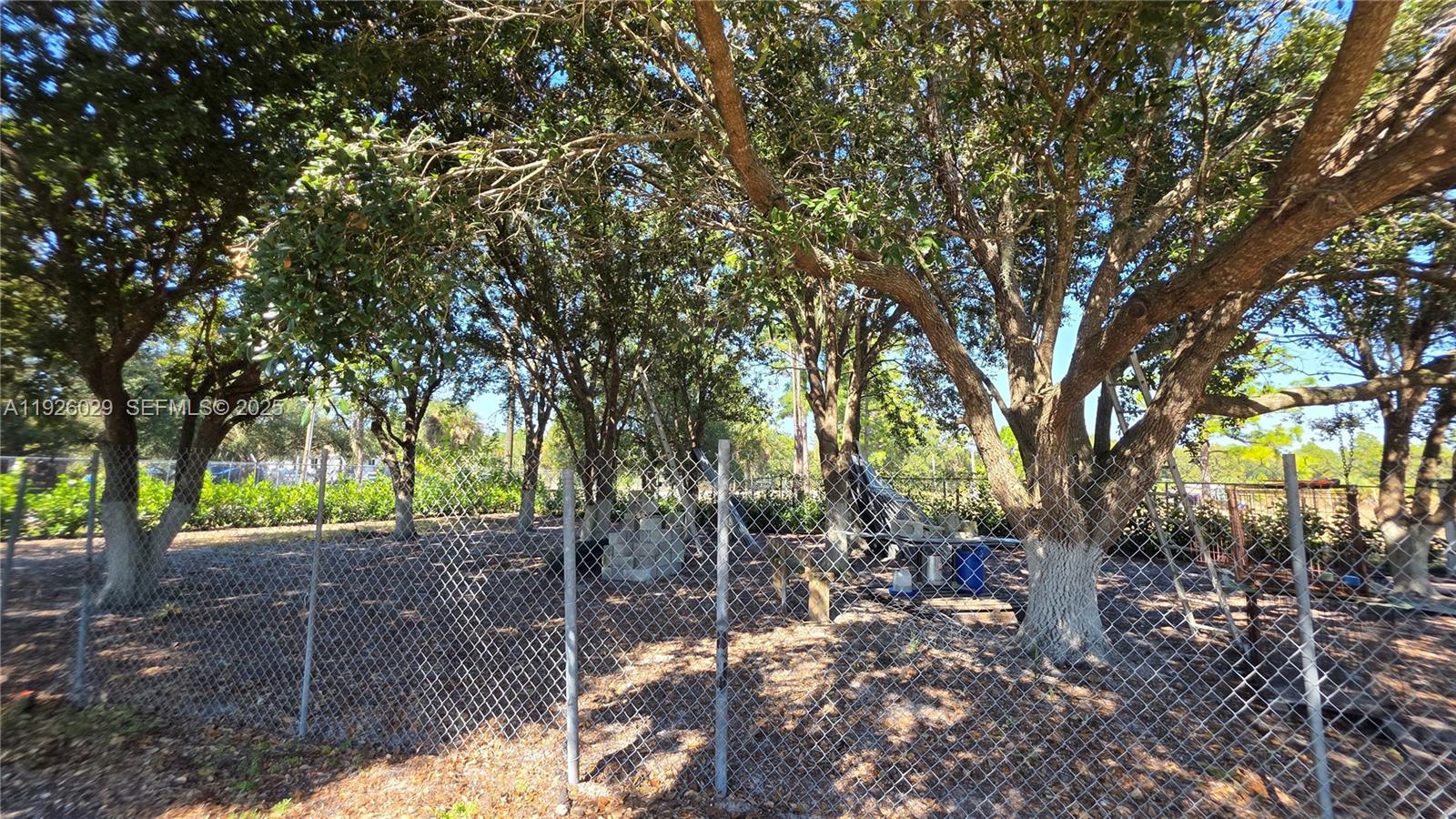 527 Perimeter Road Clewiston, FL 33440 - Photo 29 of 40 a view of a backyard with trees