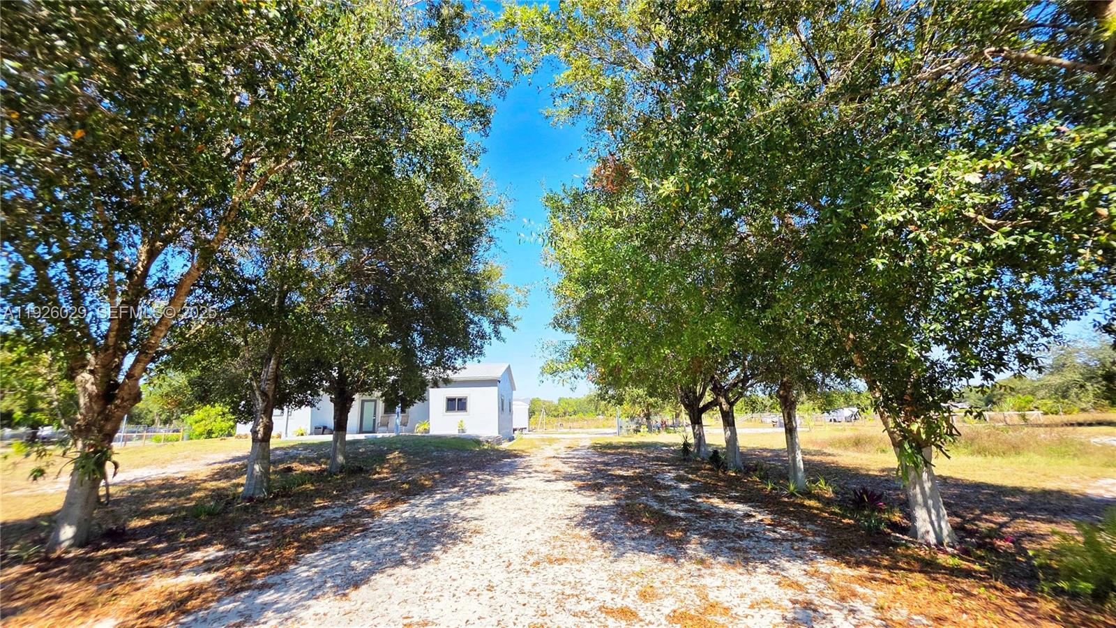 527 Perimeter Road Clewiston, FL 33440 - Photo 30 of 40 a view of a yard with plants and trees