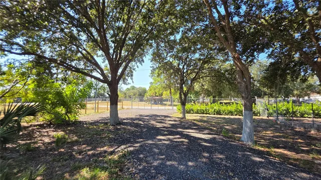a view of a tree with a yard
