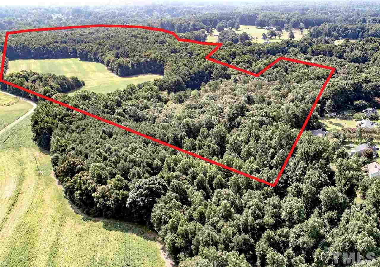 a view of a water covered with flowers