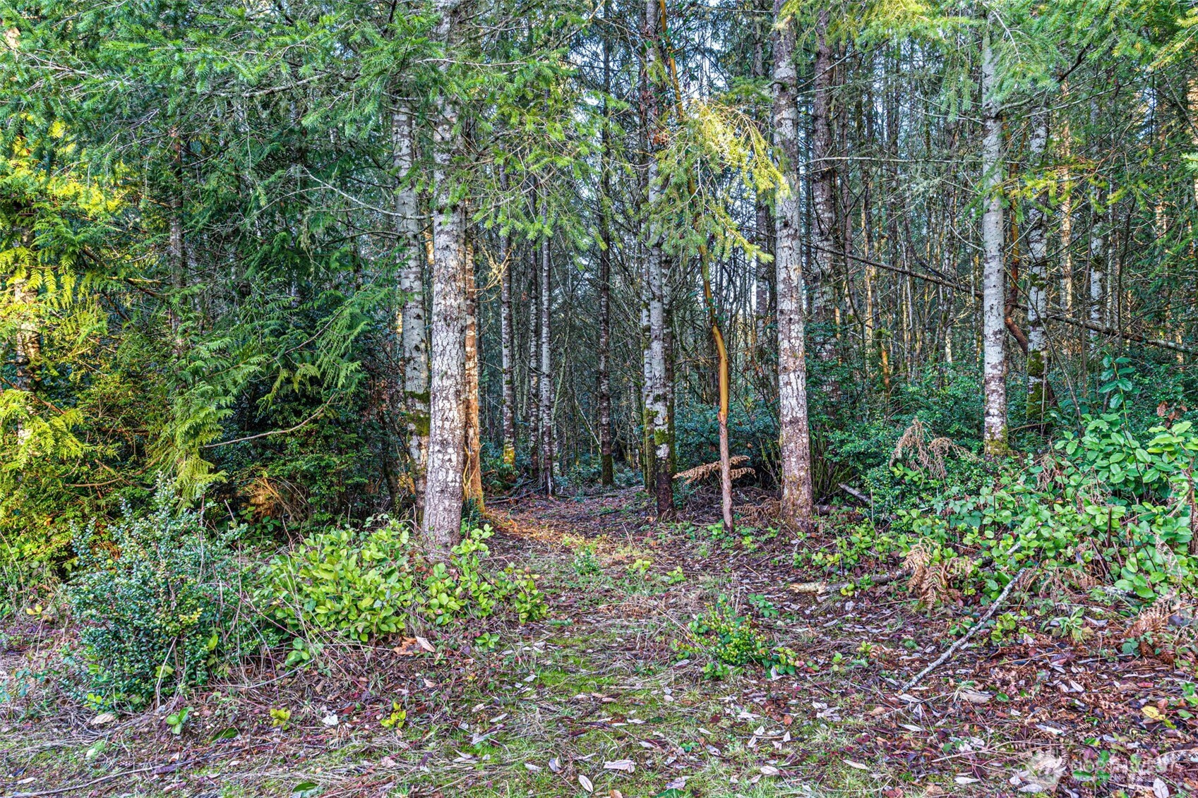 45 Whiteman Road Southwest Lakebay, WA 98351 - Photo 10 of 15 a backyard of a house with lots of green space and chair