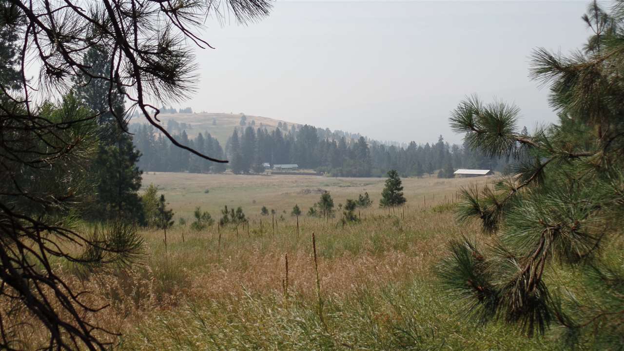 0 South Wa-25 Highway Rice, WA 99167 - Photo 3 of 18 Gallery Image 3