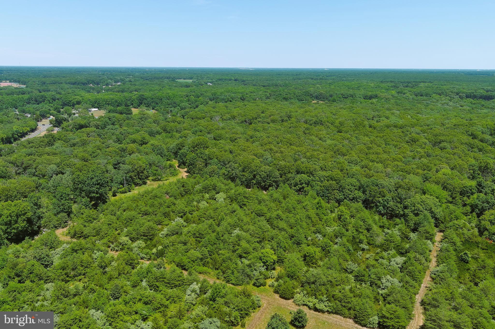 389 Fairton Gouldtown Road Bridgeton, NJ 08302 - Photo 12 of 26