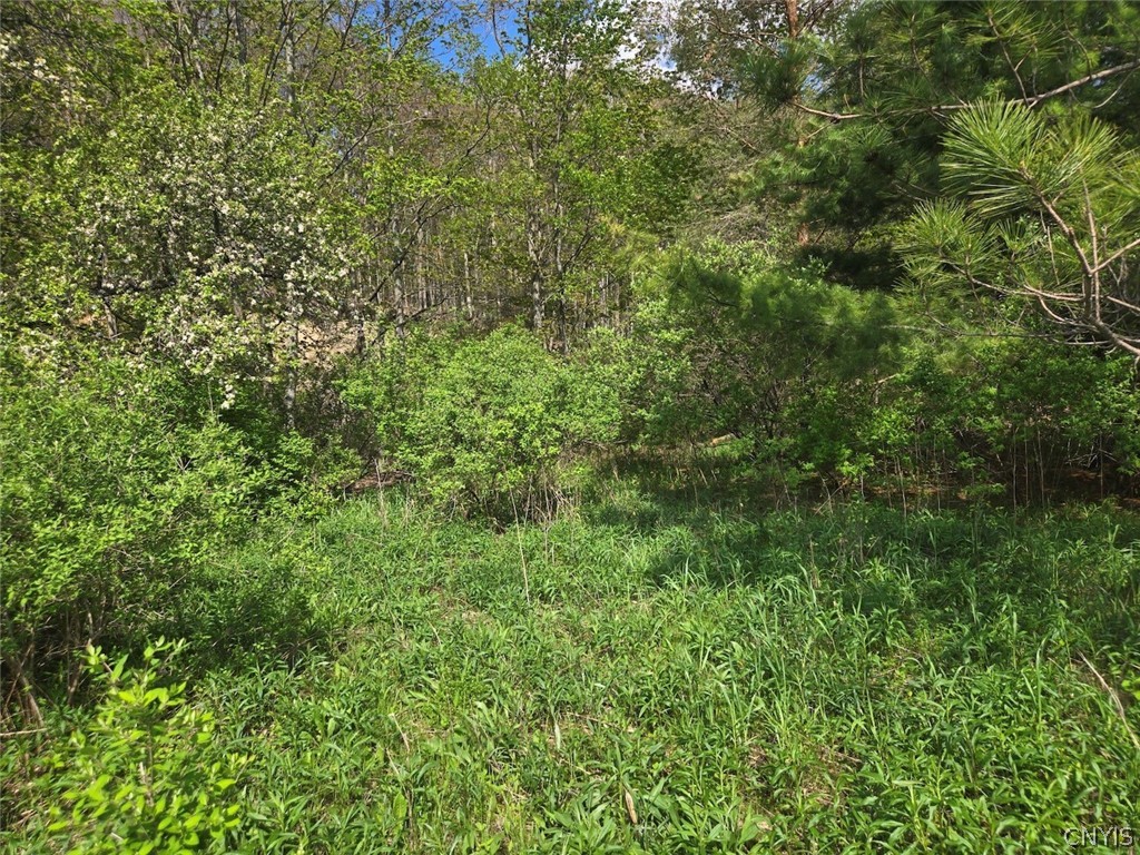 Pochuck Road Bliss, NY 14024 - Photo 13 of 23