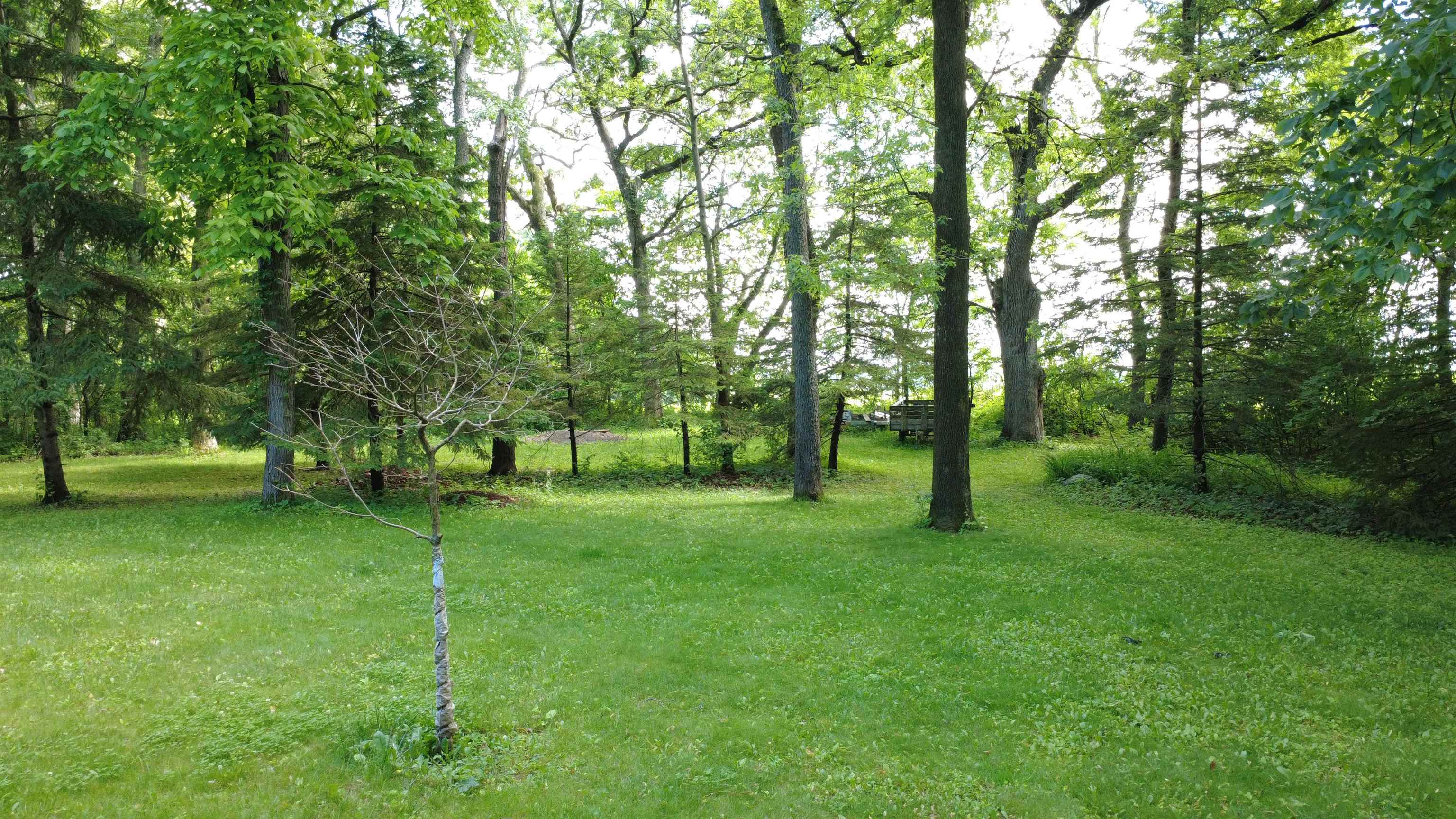 311 Maple Heights Road Marshall, WI 53559 - Photo 42 of 51