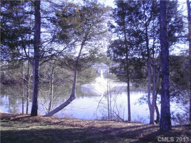 11132 Greenhead View Road Charlotte, NC 28262 - Photo 13 of 13