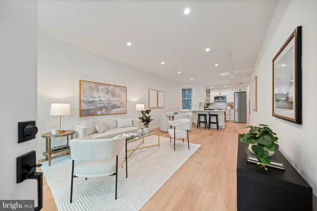 a living room with lots of furniture and a potted plant