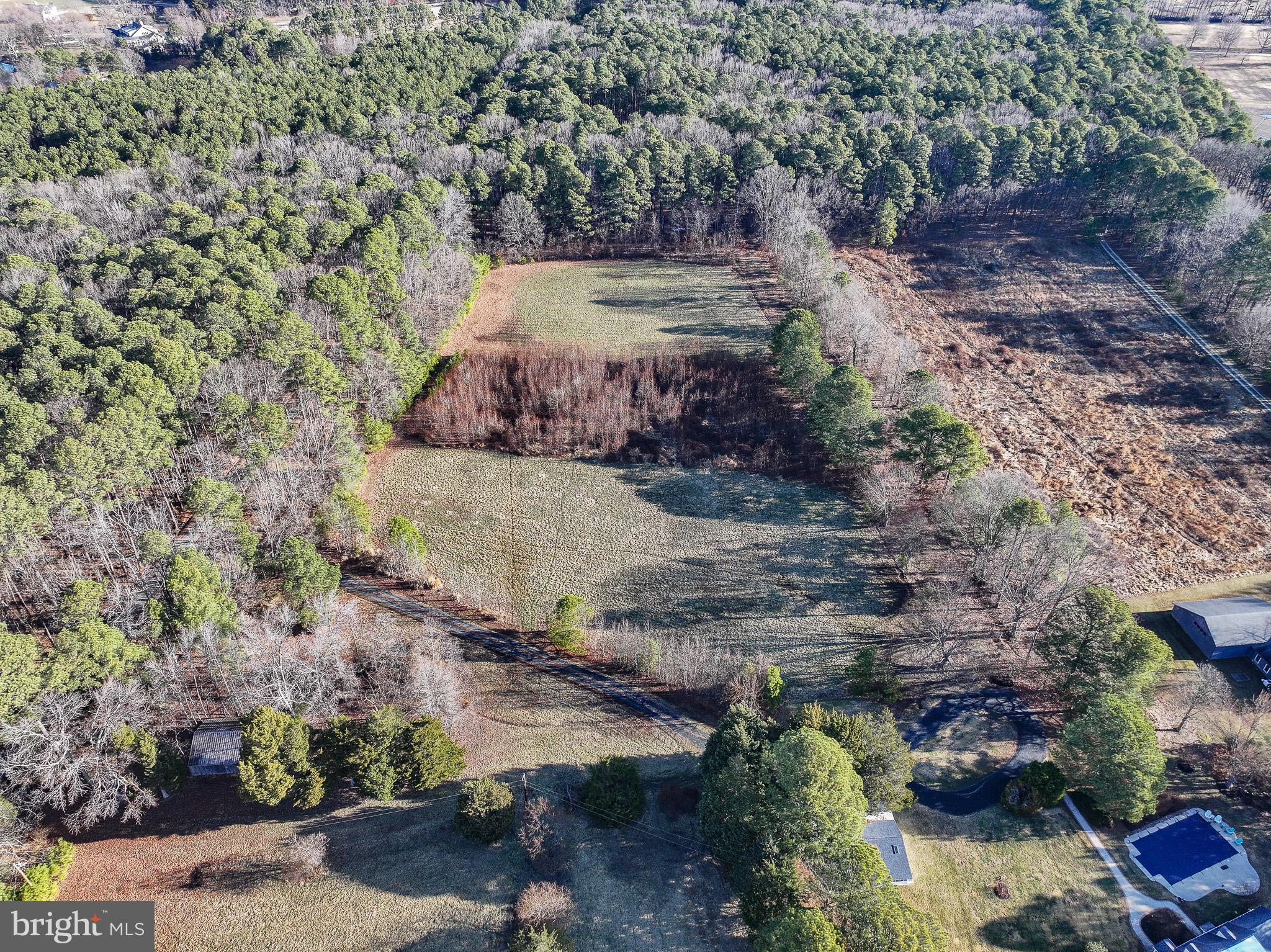 Cooper Point Road Bozman, MD 21612 - Photo 11 of 29 a view of a yard with plants