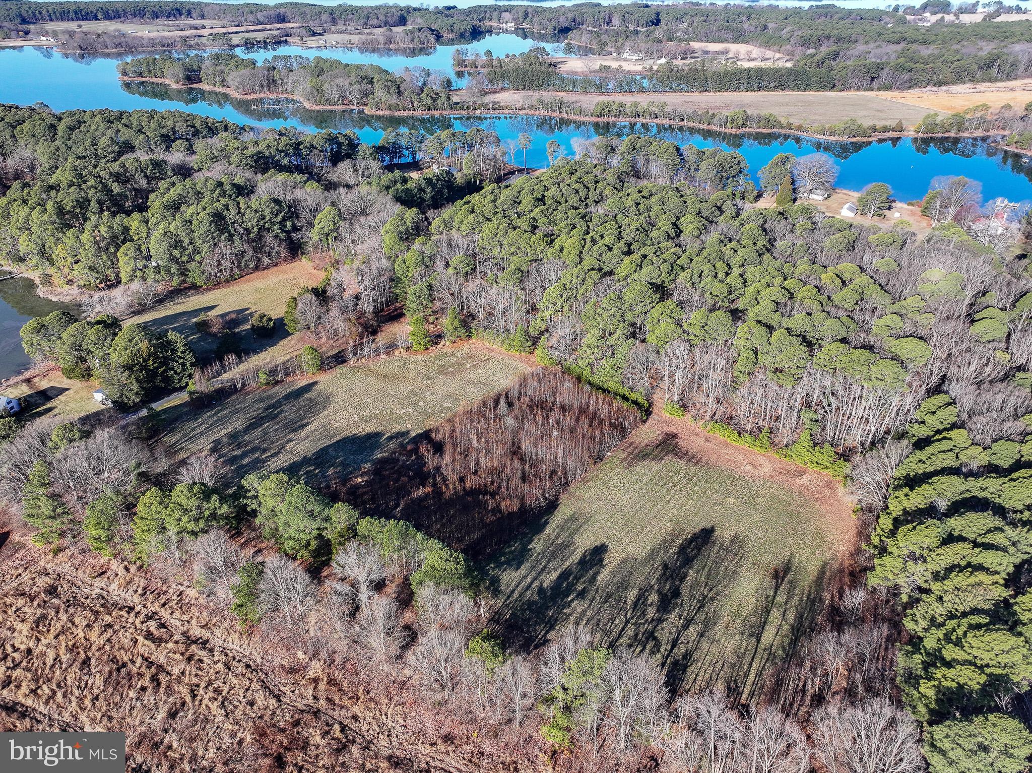 Cooper Point Road Bozman, MD 21612 - Photo 14 of 29 a view of a garden with a pathway