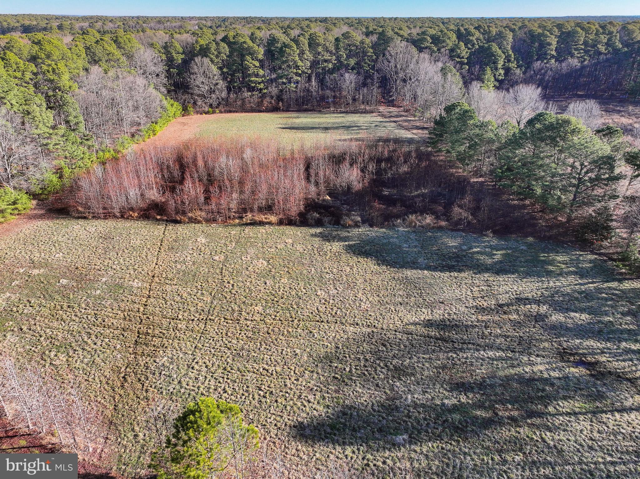 Cooper Point Road Bozman, MD 21612 - Photo 22 of 29