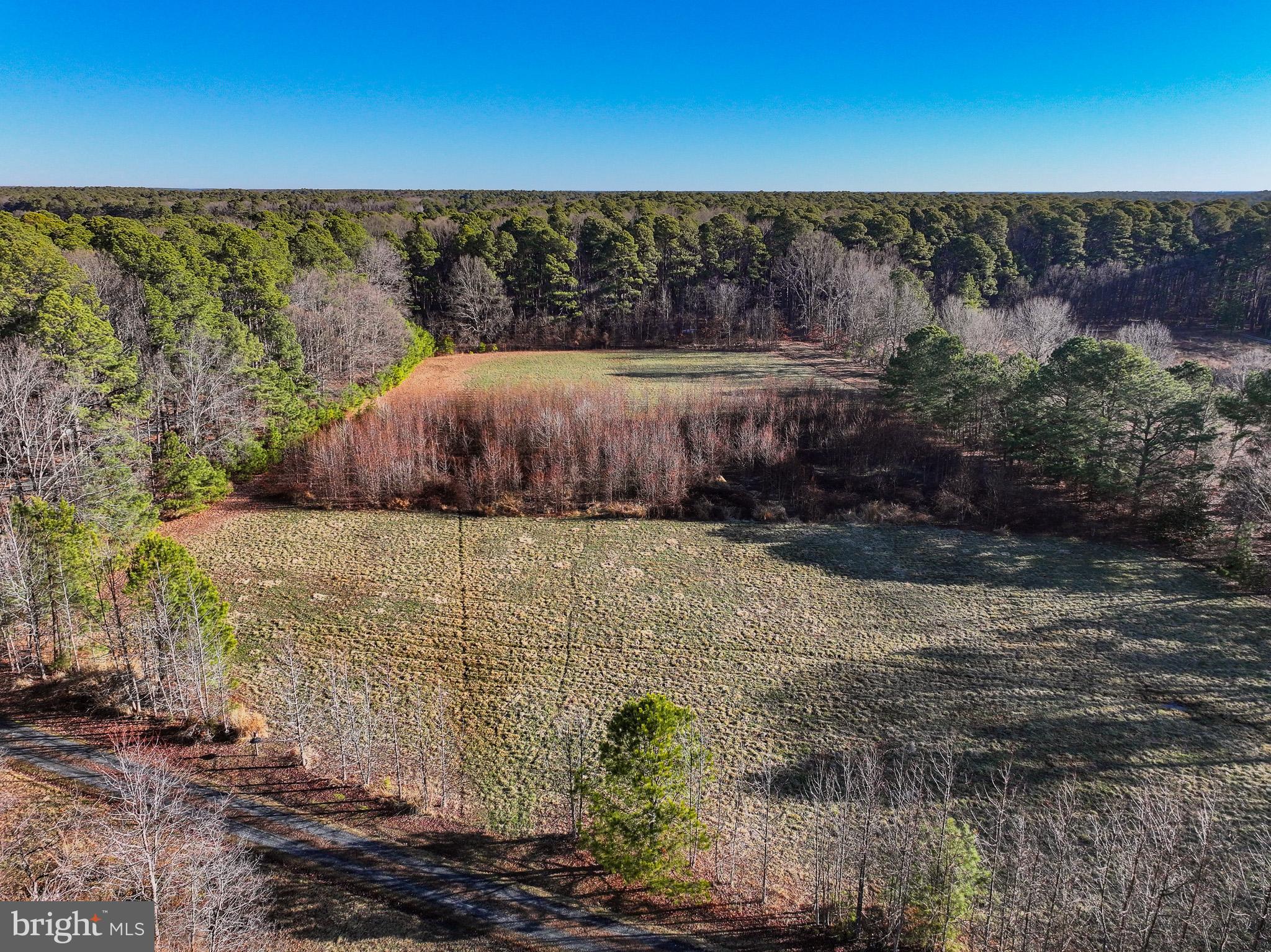 Cooper Point Road Bozman, MD 21612 - Photo 23 of 29 a view of a yard