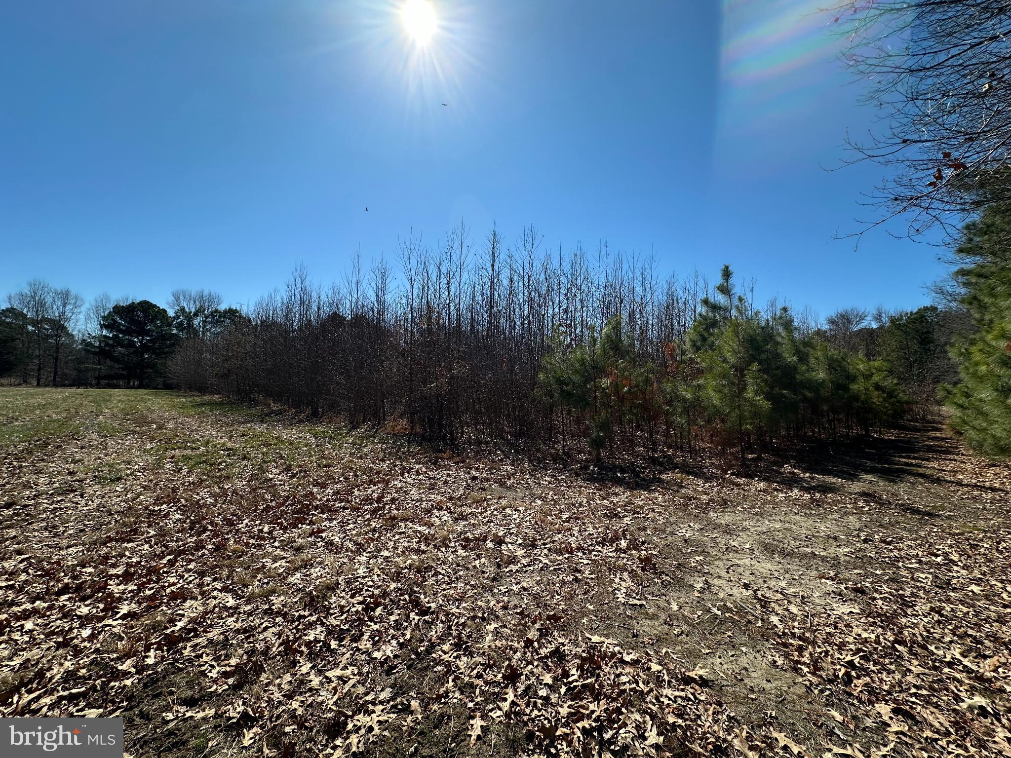 Cooper Point Road Bozman, MD 21612 - Photo 3 of 29 a view of a yard