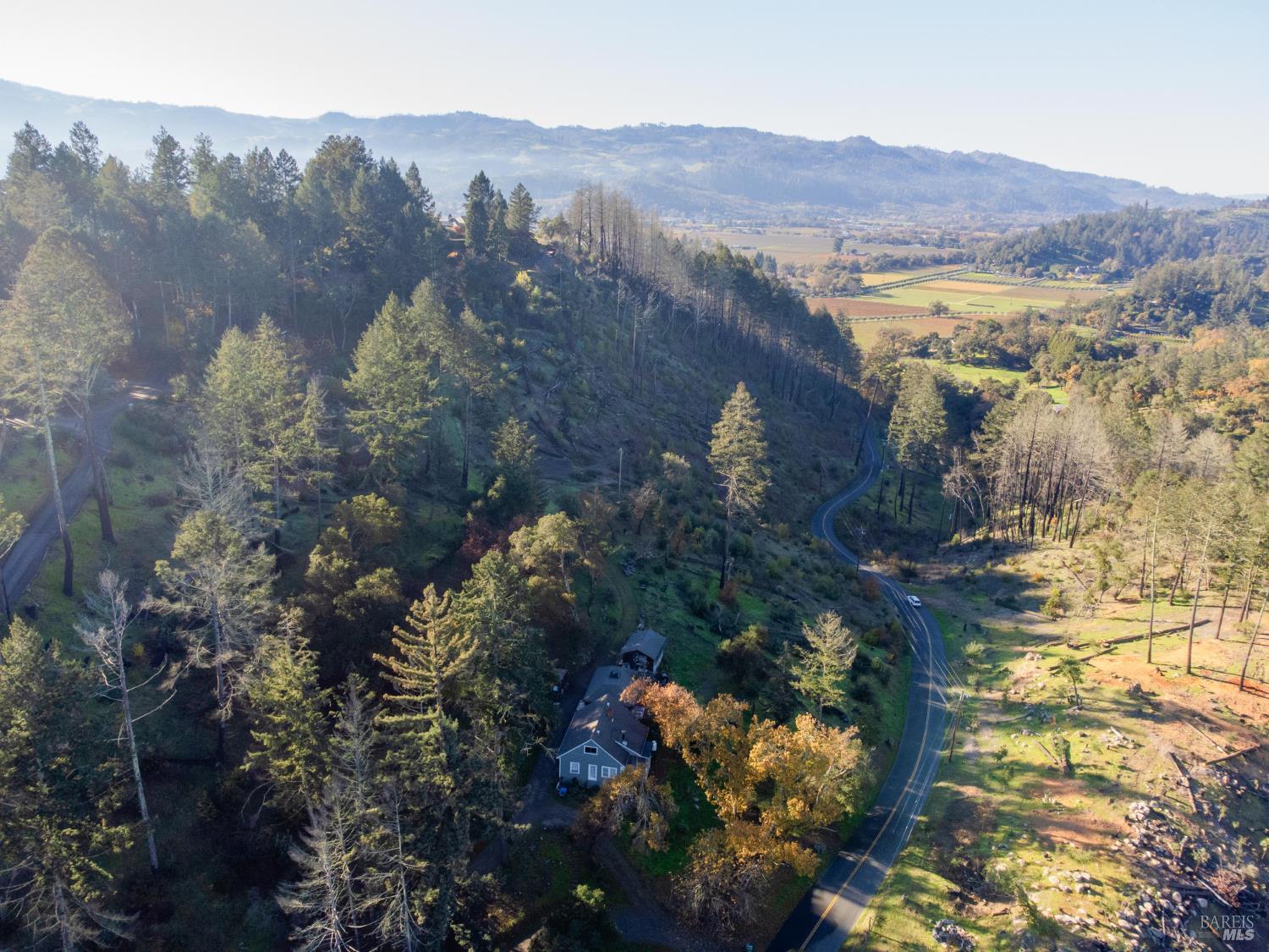 an aerial view of mountain and tree