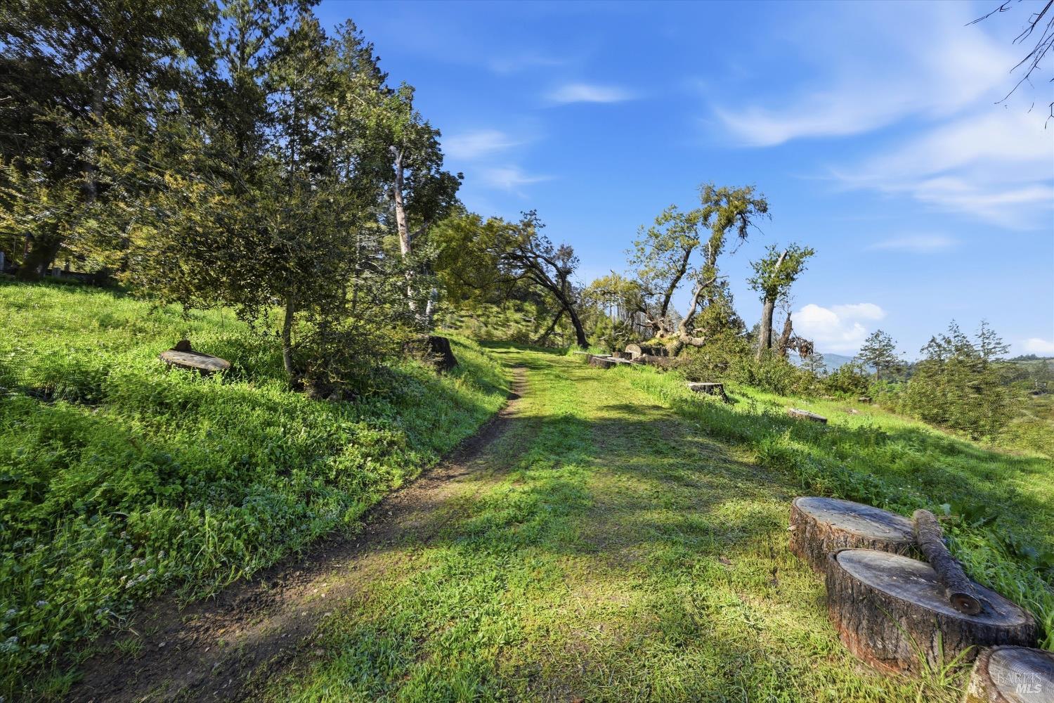 1830 Howell Mountain Road St. Helena, CA 94574 - Photo 27 of 33 a view of outdoor space and yard