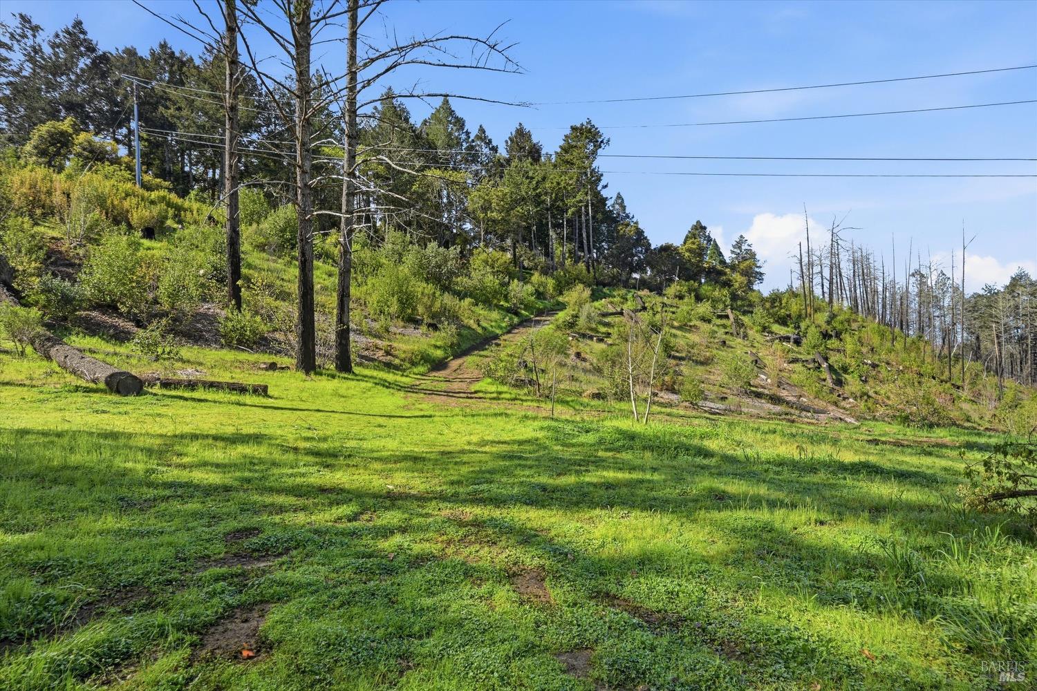 1830 Howell Mountain Road St. Helena, CA 94574 - Photo 28 of 33 a view of a yard