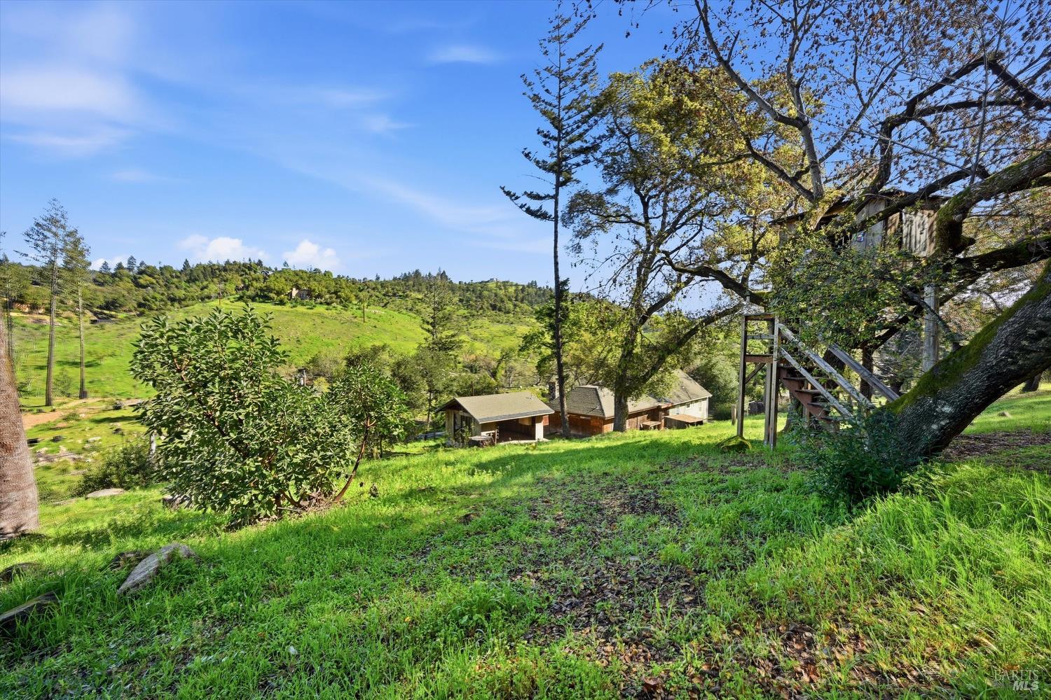 1830 Howell Mountain Road St. Helena, CA 94574 - Photo 29 of 33 a view of a garden with an tree