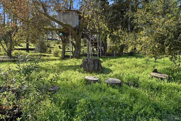 a backyard of a building with lots of green space